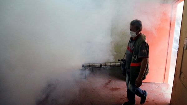 Fumigación por la emergencia sanitaria por dengue en Paraguay  - Sputnik Mundo