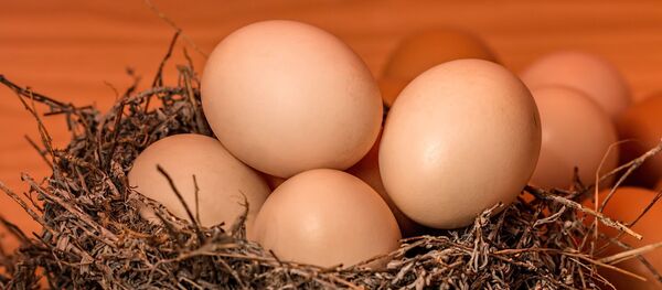 Por qué flotan los huevos frescos y se hunden los podridos?