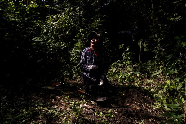 Familias de desaparecidos denuncian campos de exterminio en Veracruz - Sputnik Mundo