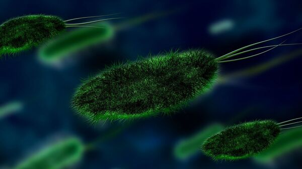 Virus. Bacteria. Imagen referencial - Sputnik Mundo