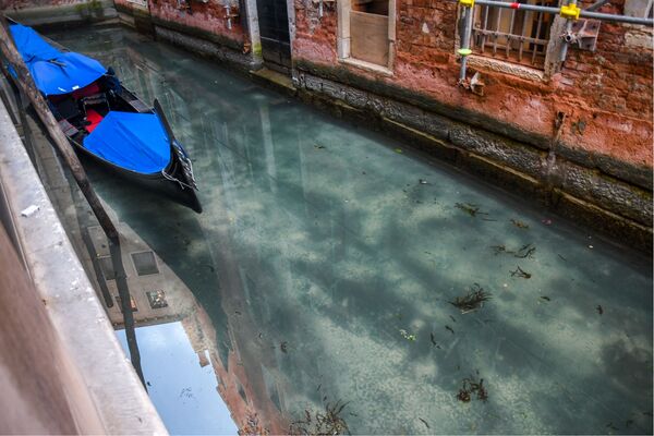 Cómo se han limpiado los canales de Venecia por el coronavirus

 - Sputnik Mundo