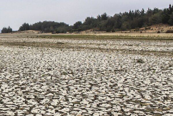 El coronavirus y la crisis del agua en Chile: 400.000 familias en peligro El coronavirus y la crisis del agua en Chile: 400.000 familias en peligro - Sputnik Mundo
