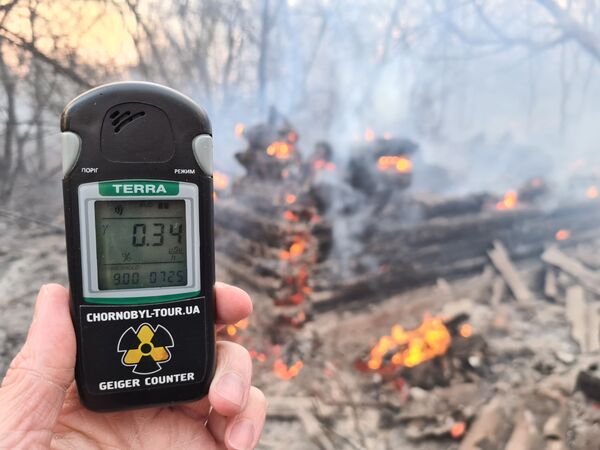 Un incendio en Chernóbil provoca un salto en los niveles de radiación - Sputnik Mundo