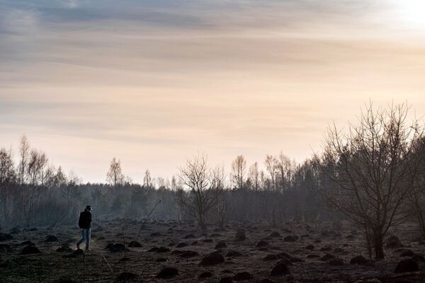 Мужчина идет по сгоревшему лесу в зоне отчуждения Чернобыльской АЭС - Sputnik Mundo