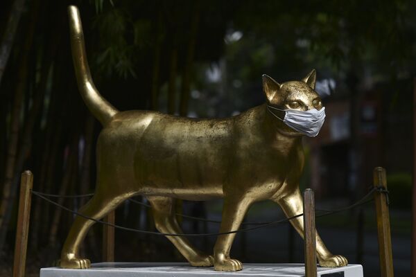 La estatua La gata Calida, de Cali, Colombia, lleva una mascarilla - Sputnik Mundo