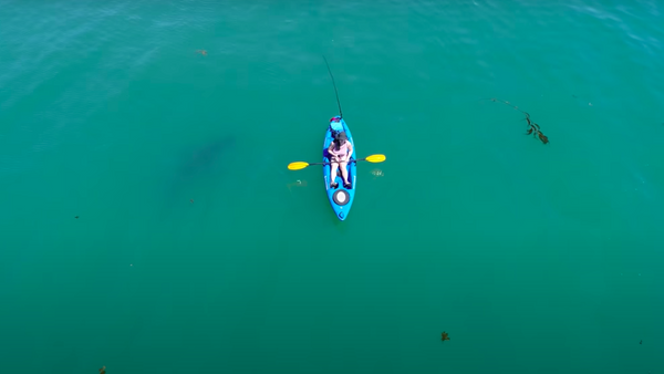 Salvado por el azar: un tiburón blanco le perdona la vida a un kayakista - Sputnik Mundo