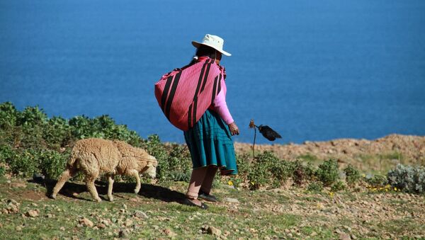 Una mujer en el lago Titicaca, Perú (imagen referencial) - Sputnik Mundo