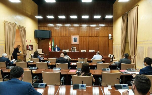 La Comisión de Estudio sobre recuperación económica y social de Andalucía a causa de la pandemia del COVID-19 en su sesión constitutiva - Sputnik Mundo