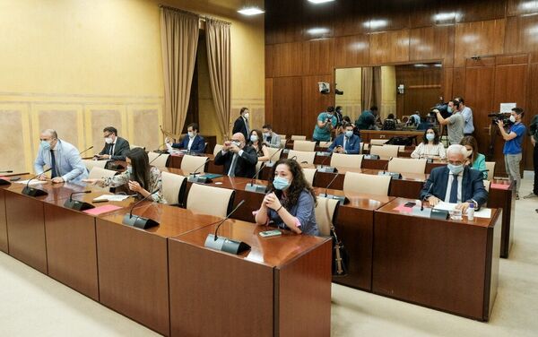 Los diputados de la Comisión de Estudio sobre recuperación económica y social motivada por la pandemia, al inicio de la sesión - Sputnik Mundo