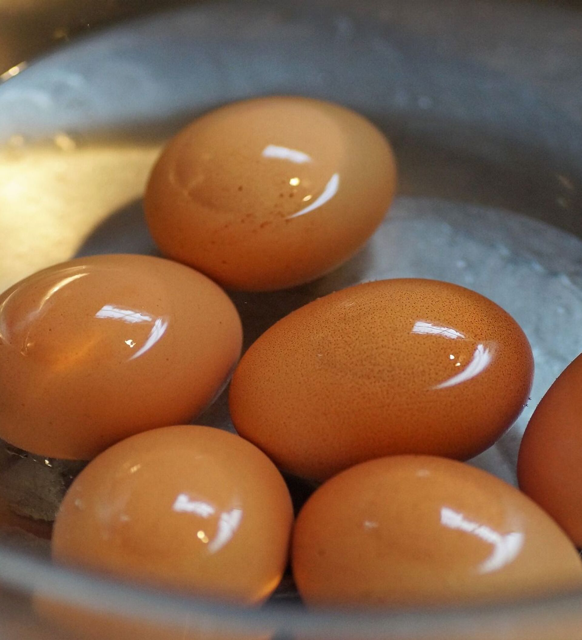 Hervir Huevos En Una Cacerola En La Cocina. Concepto De Alimentación  Saludable Con Cocción De Huevos Imagen de archivo - Imagen de apetitoso,  concepto: 278070177