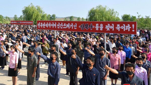 Manifestación contra acciones de desertores en Corea del Norte - Sputnik Mundo