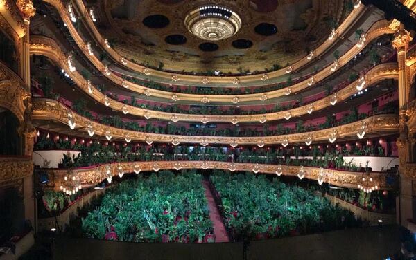 Plantas en el Concierto para el bioceno en el Gran Teatre del Liceu de Barcelona - Sputnik Mundo