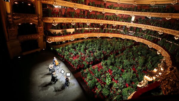 El Gran Teatre del Liceu de Barcelona lleno de plantas por el Concierto para el bioceno - Sputnik Mundo