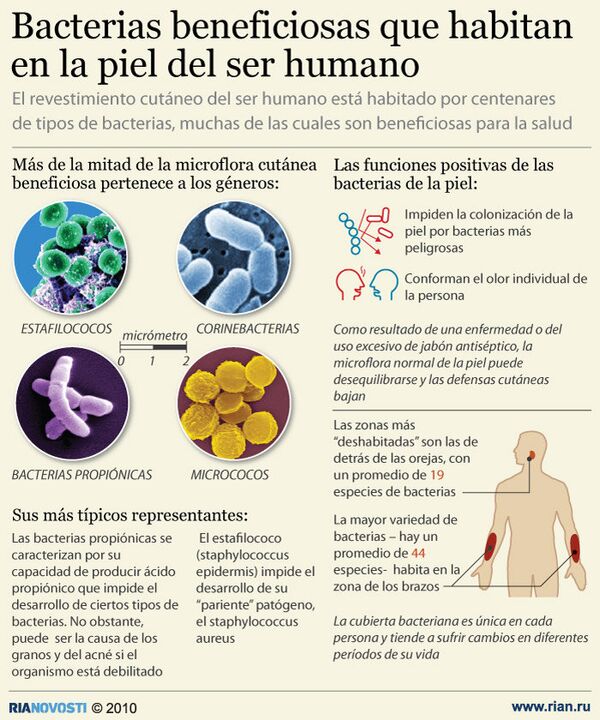 péndulo Plata Caliza Bacterias beneficiosas que habitan en la piel del ser humano - 20.10.2010,  Sputnik Mundo