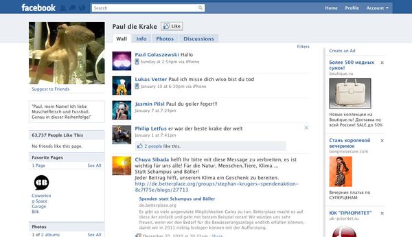 Pulpo oráculo Paul aún vive en la red social de Facebook - Sputnik Mundo