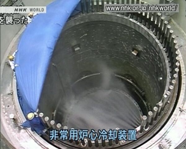Japón afirma que los niveles de radiación cerca de Fukushima-1 no son peligrosos - Sputnik Mundo