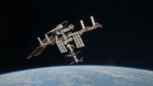 No hay peligro de bacterias mutantes en la ISS, según expertos - Sputnik Mundo