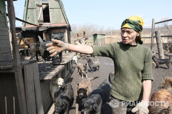 Zoya Andriuschenko, madre adoptiva de animales abandonados - Sputnik Mundo
