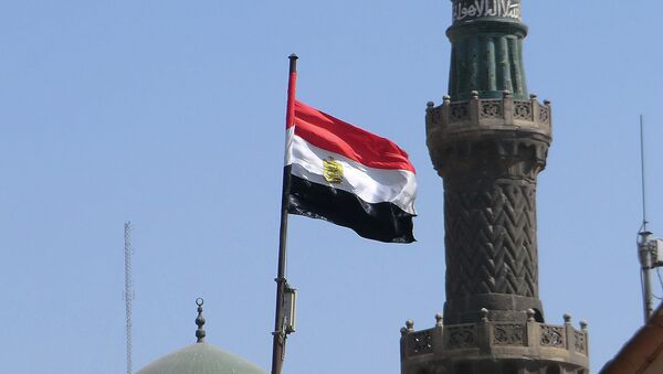 El Cairo se prepara para una operación a gran escala contra el Estado Islámico, dice político egipcio - Sputnik Mundo