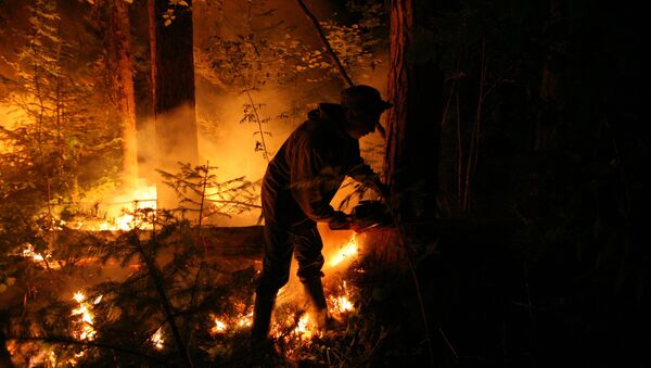 Incendios forestales en Siberia (archivo) - Sputnik Mundo