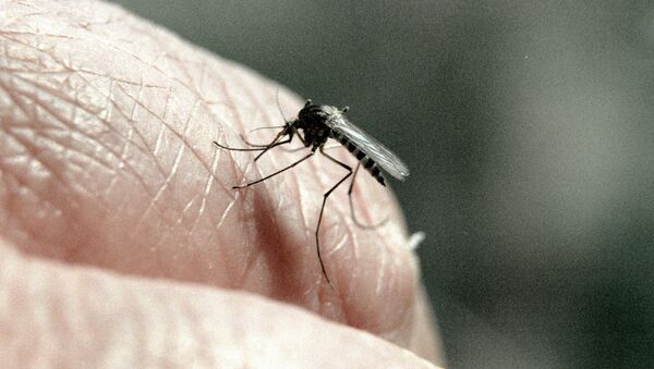 La malaria vuelve a una Grecia en crisis 40 años después de erradicada - Sputnik Mundo