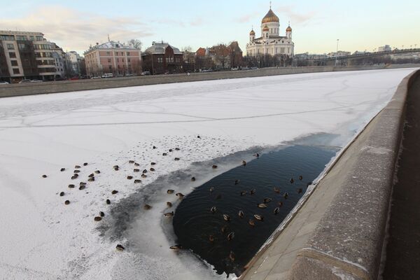 Ecólogos adoptan medidas para evitar la asfixia de peces en las represas de Moscú - Sputnik Mundo