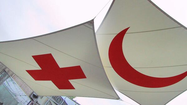 Siria será este año el primer renglón de gastos para la Cruz Roja - Sputnik Mundo