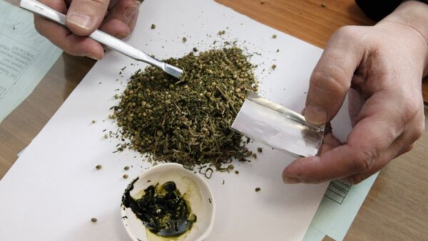 Uruguay rectifica: la venta de marihuana comenzará en diciembre - Sputnik Mundo