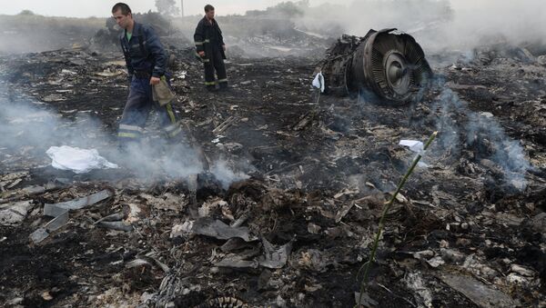 El lugar del accidente de Boeing MH17 - Sputnik Mundo