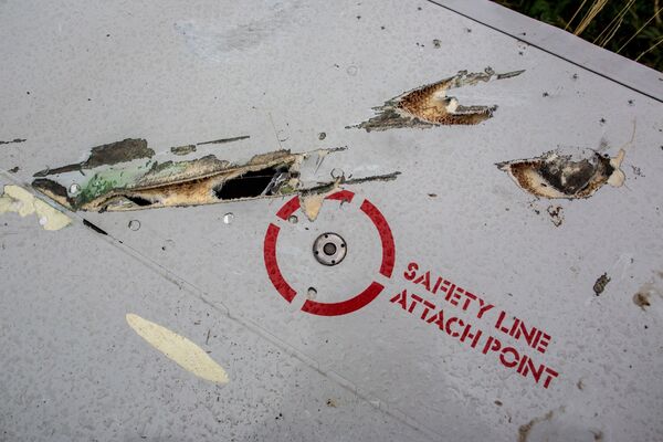 El MH17 se estrelló en Ucrania por una acción desde fuera, según informe previo - Sputnik Mundo