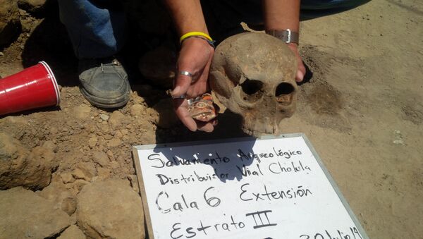 Los restos del cráneo y una ofrenda de cerámica en forma de jaguar, símbolo de los guerreros de Cholula - Sputnik Mundo
