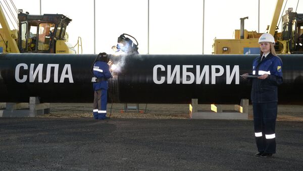 Construcción del gasoducto Fuerza de Siberia - Sputnik Mundo