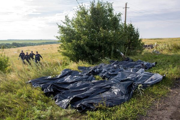 MH17: escenas del lugar de la catástrofe - Sputnik Mundo