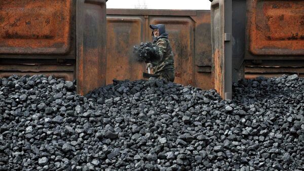 A worker unloads coal at a storage site along a railway station in Shenyang, Liaoning province, in this file picture taken April 13, 2010 - Sputnik Mundo