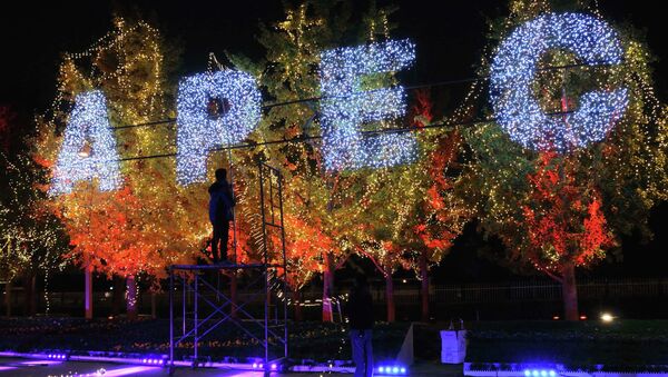 Workers set up decorative lights on trees for the upcoming APEC Summit, at the Olympic Park in Beijing, October 30, 2014 - Sputnik Mundo