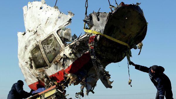 Restos del avión malasio derribado en el este de Ucrania - Sputnik Mundo