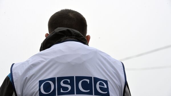 Varios países retiran a sus observadores de la misión de la OSCE en Donbás - Sputnik Mundo